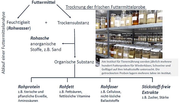 Link öffnet Ablaufschema einer Futtermittelanalyse